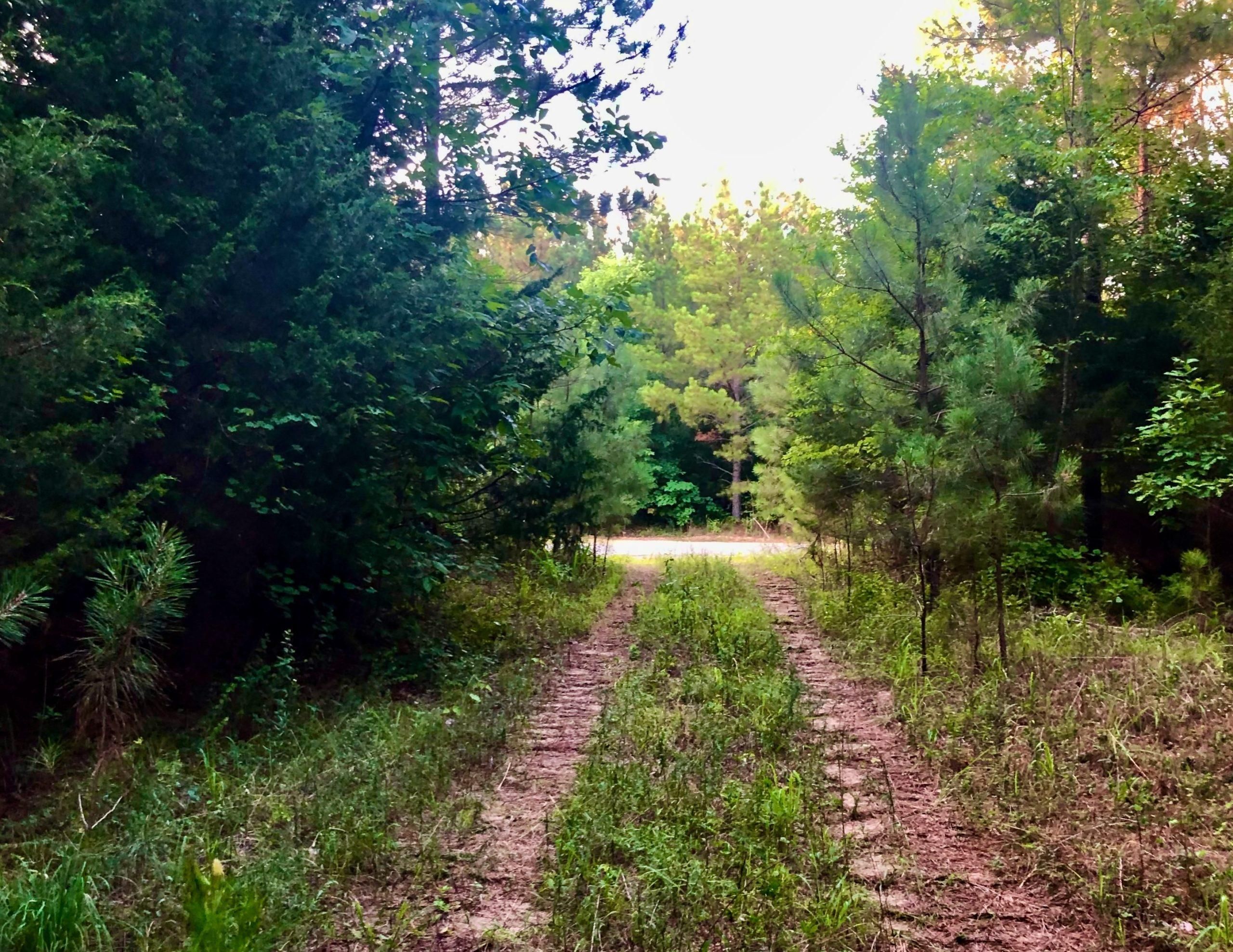 Granbury Radarperry County Stuff For Sale - rjf91zw