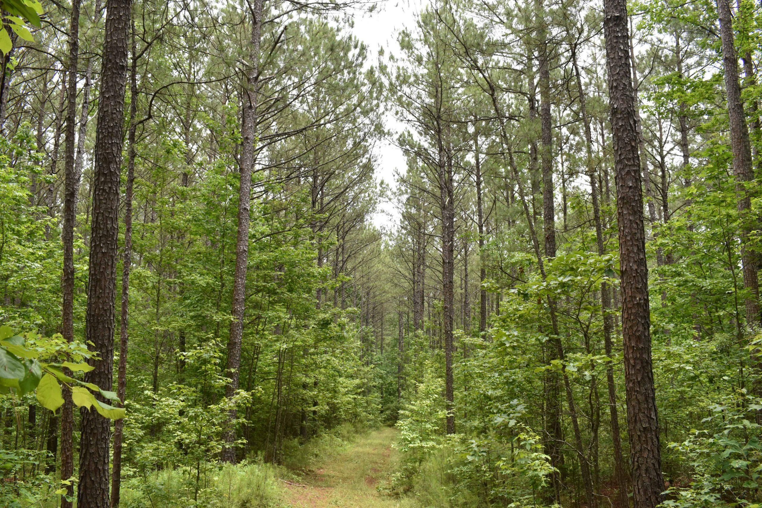 Heard County, Glenn, GA 30217