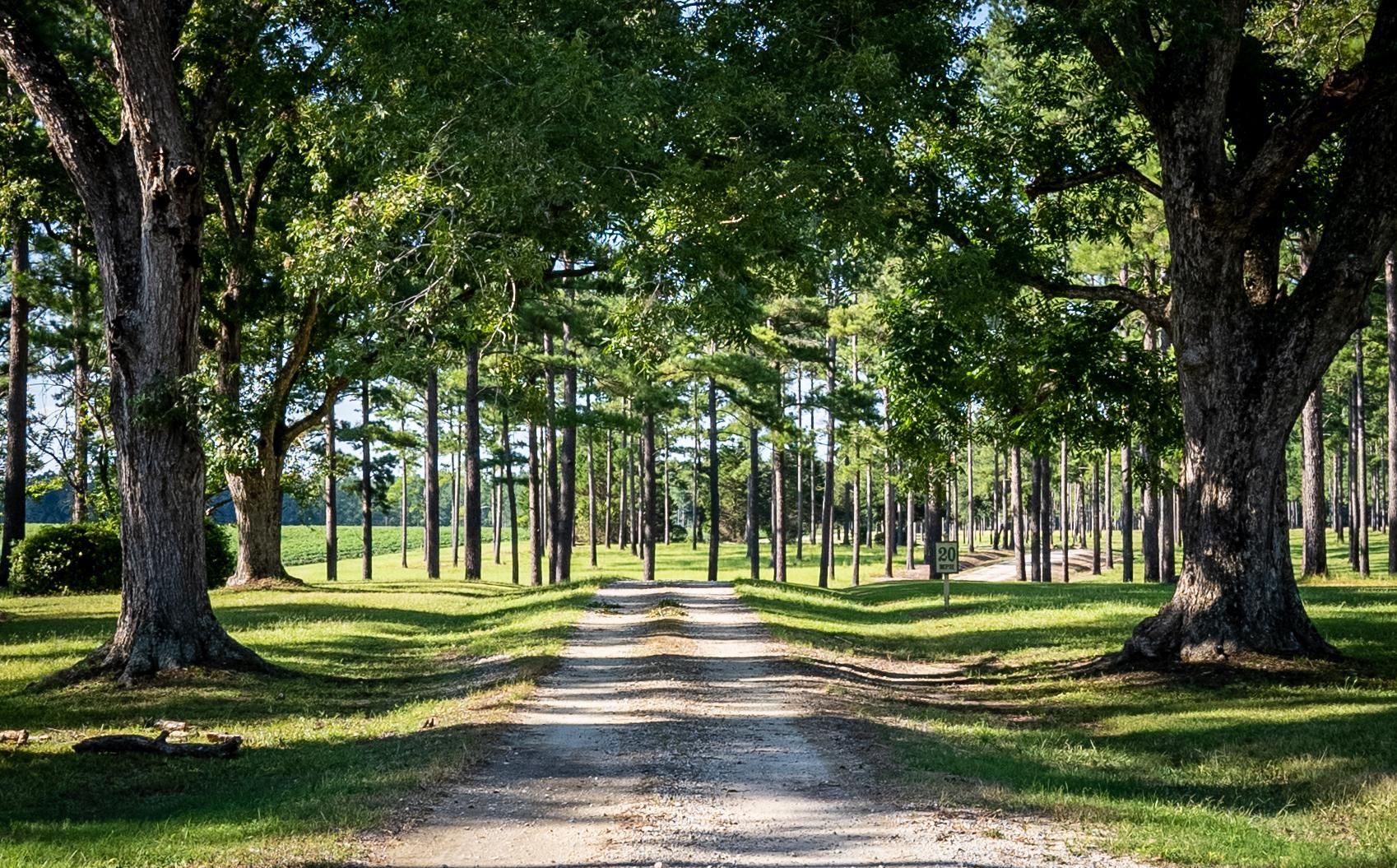 773 acres in Barnwell County, South Carolina