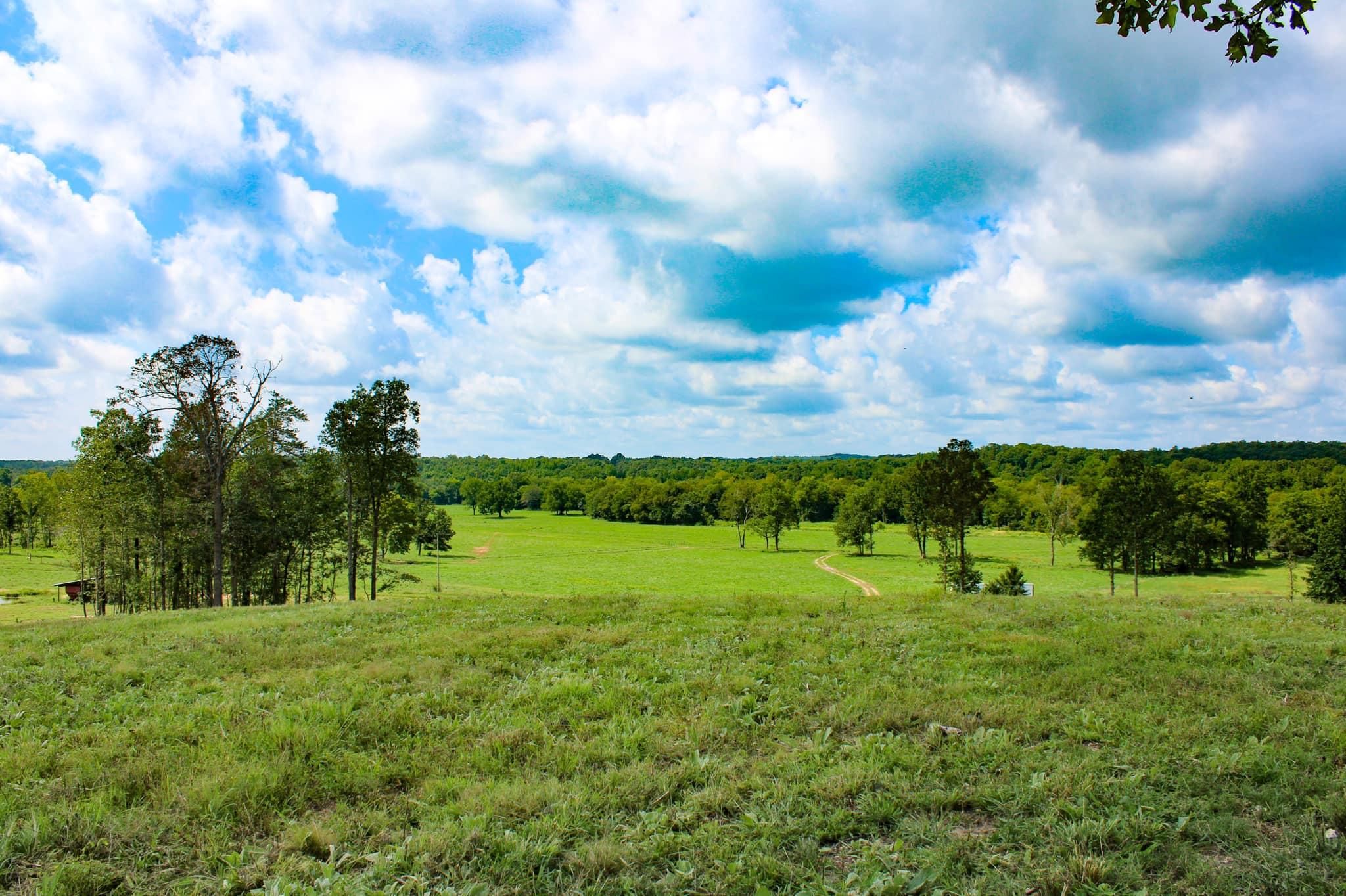 202 acres in Independence County, Arkansas