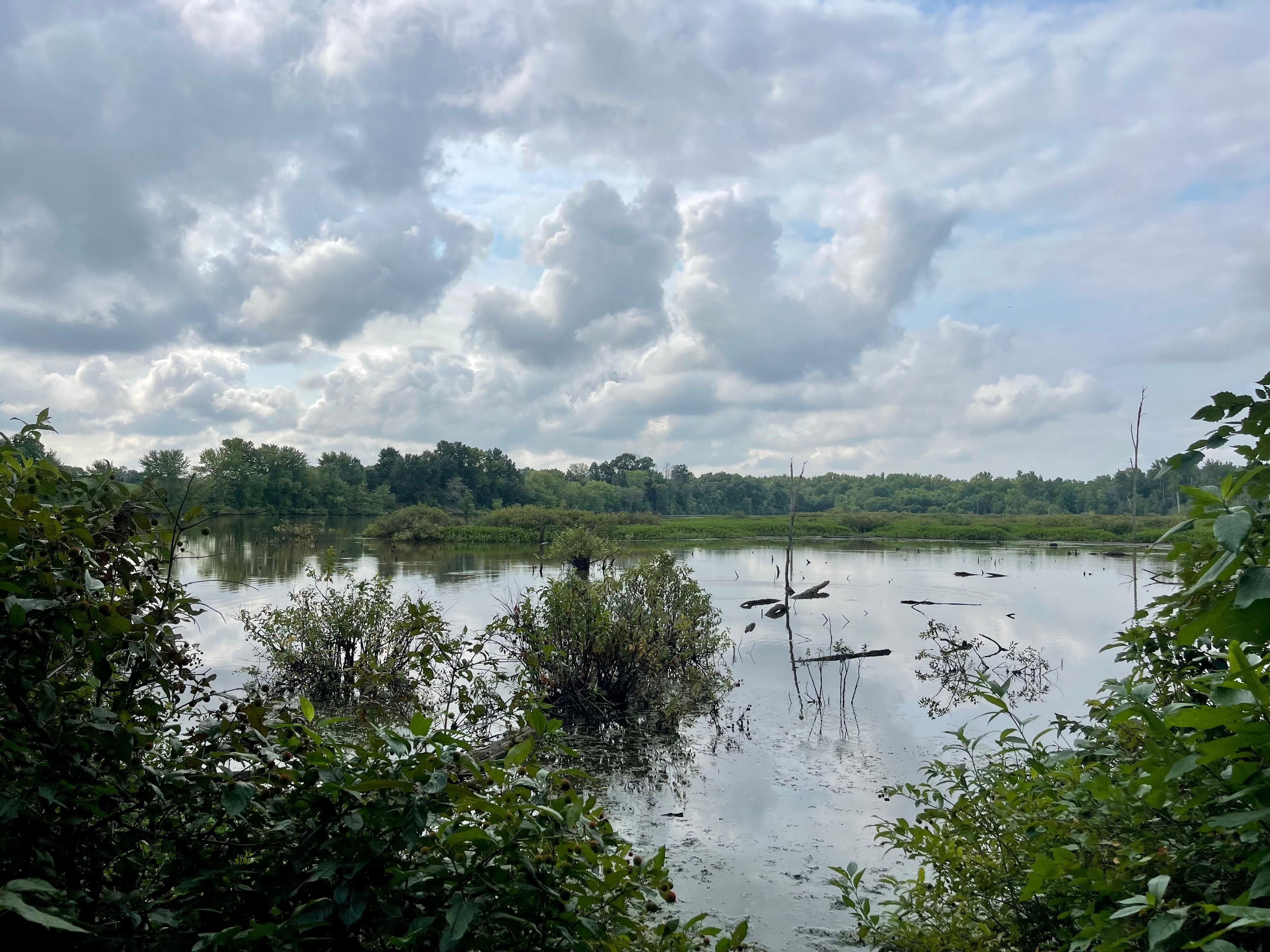 87 acres in Lewis County, Missouri