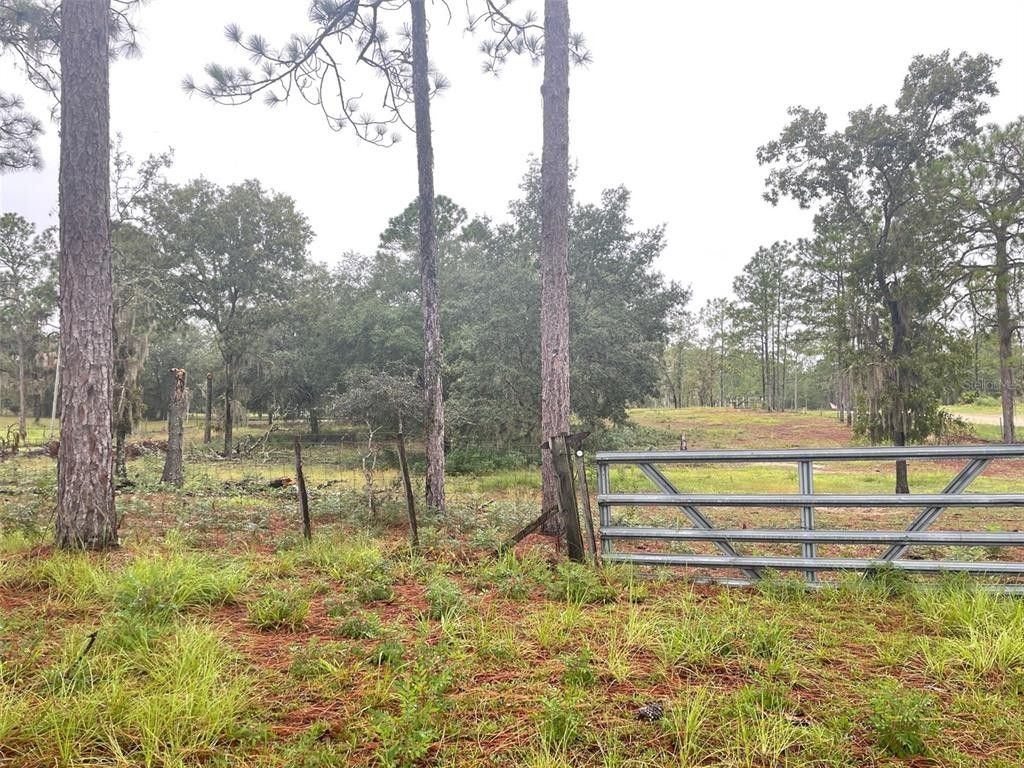 4.75 acres in Levy County, Florida
