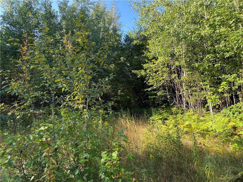 80 acres in Douglas County, Wisconsin