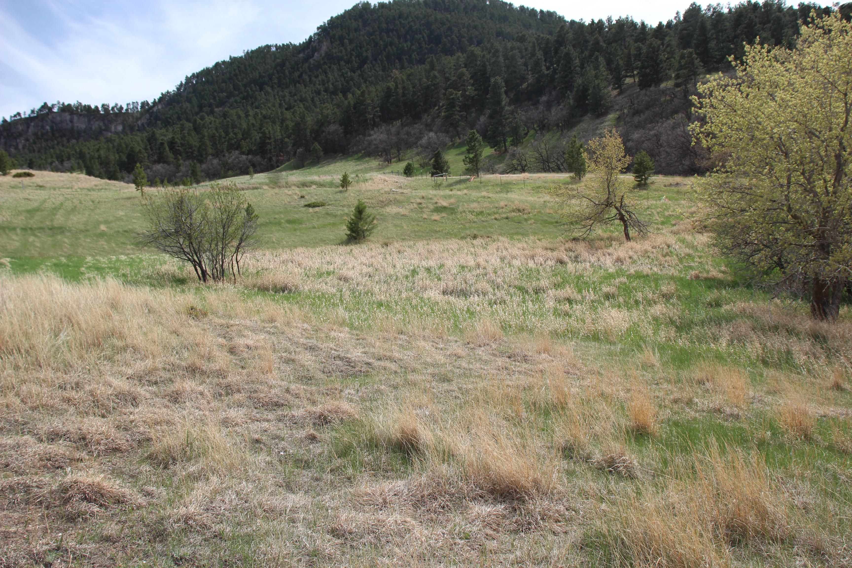 3 acres in Crook County, Wyoming