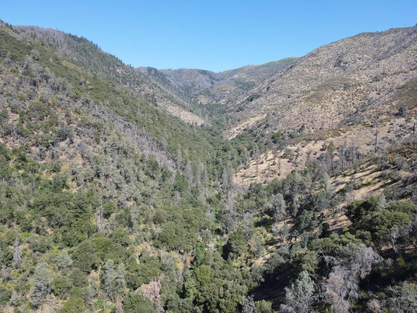 315 acres in Shasta County, California