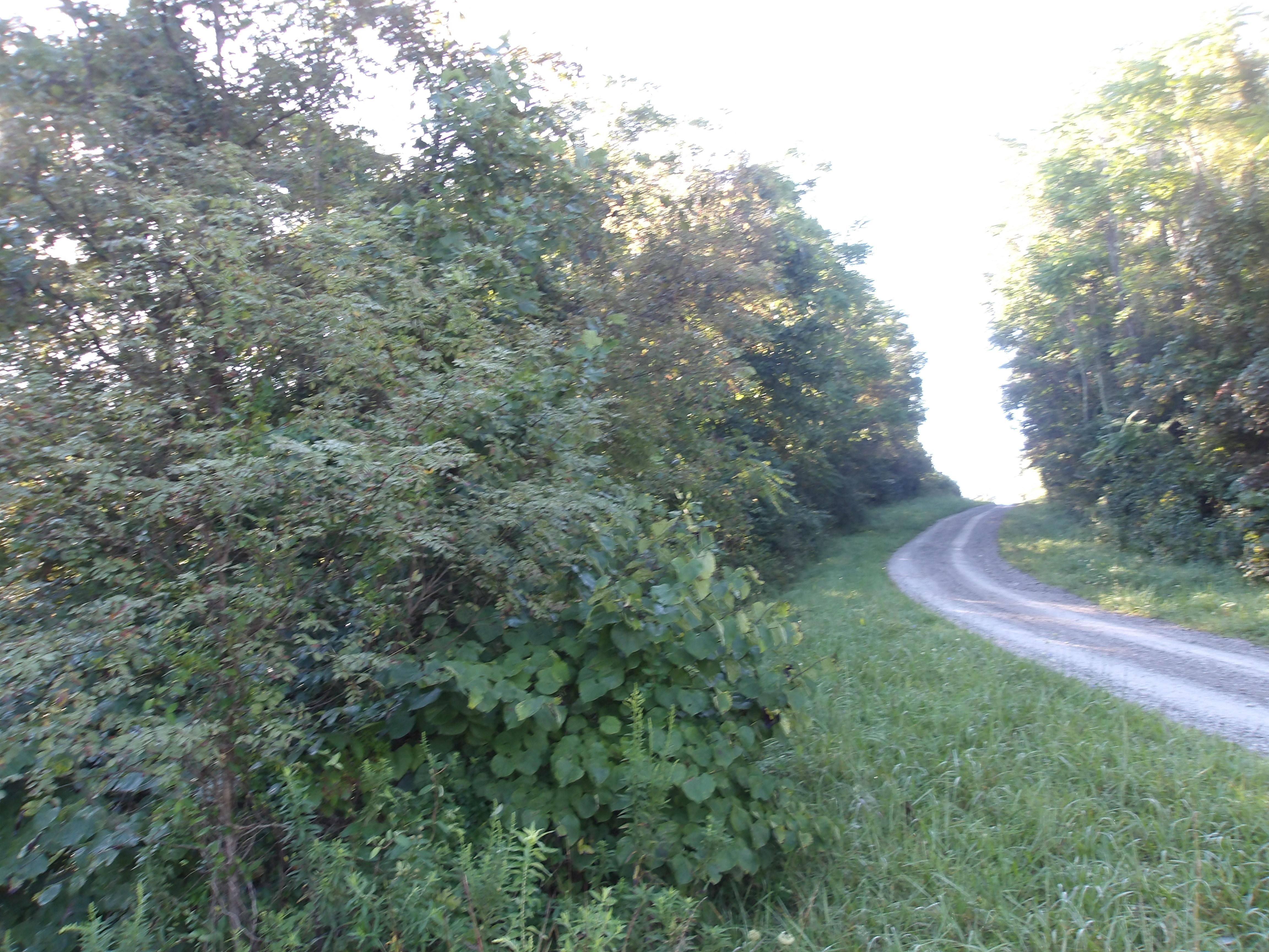 32.54 acres in Noble County, Ohio