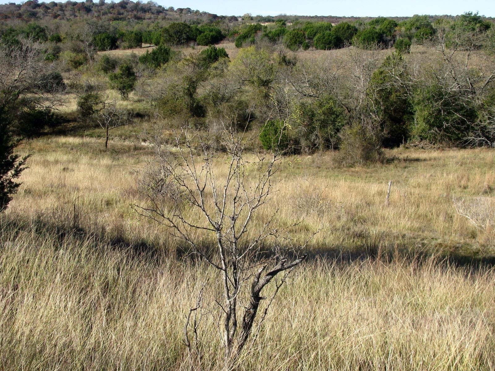 2790 County Road 614, Hamilton, TX 76531 MLS 20159751