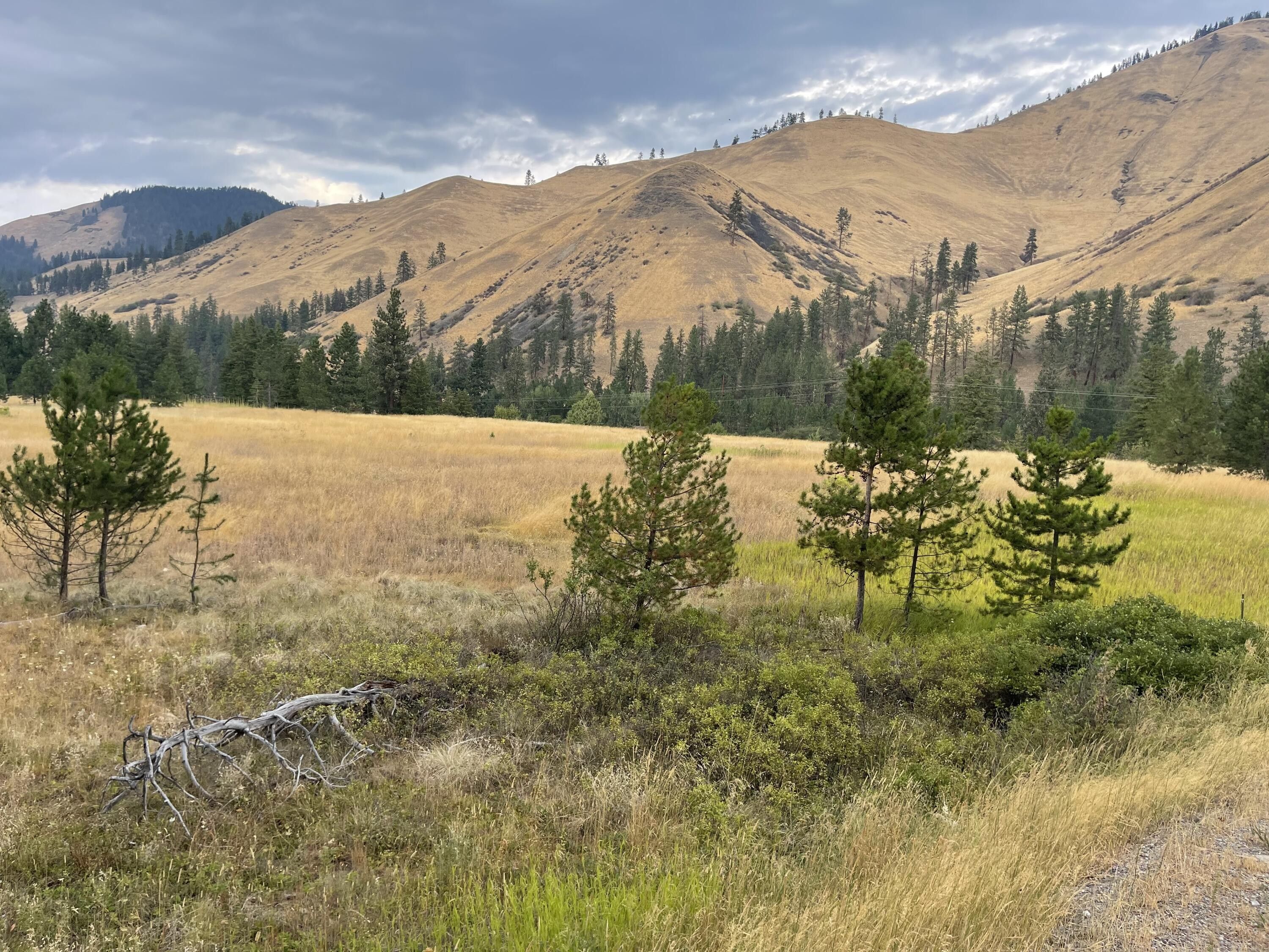 5.14 acres in Mineral County, Montana