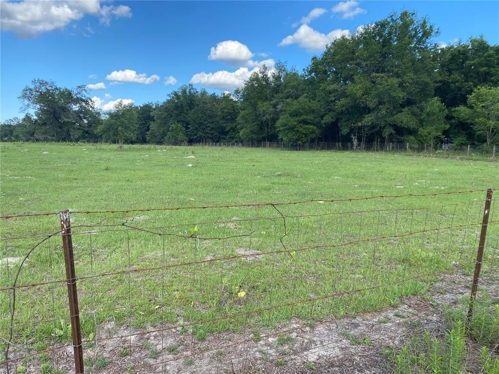 20 acres in Levy County, Florida
