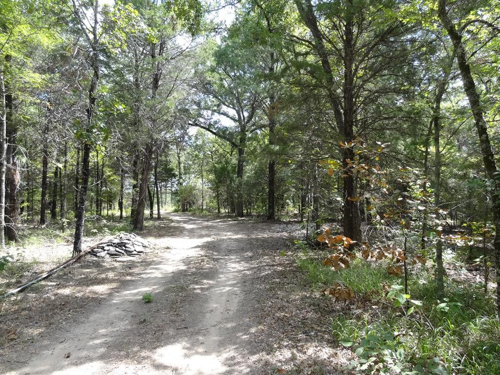 10 acres in Henderson County, Texas