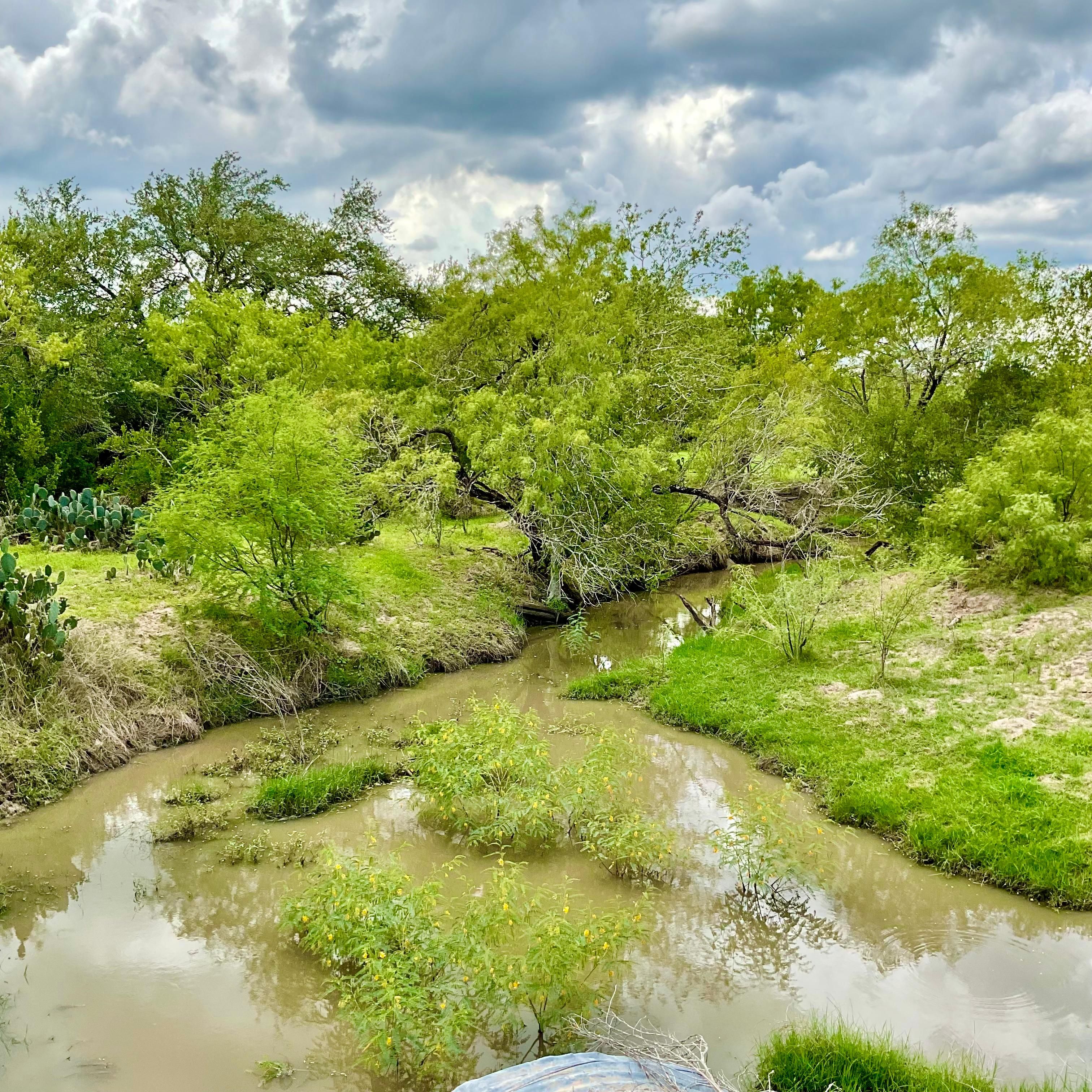 3986 County Road 415, Falls City, TX 78113 MLS 1636976