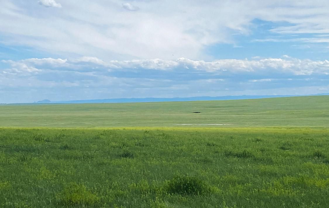 State Highway 79, Newell, SD 57760