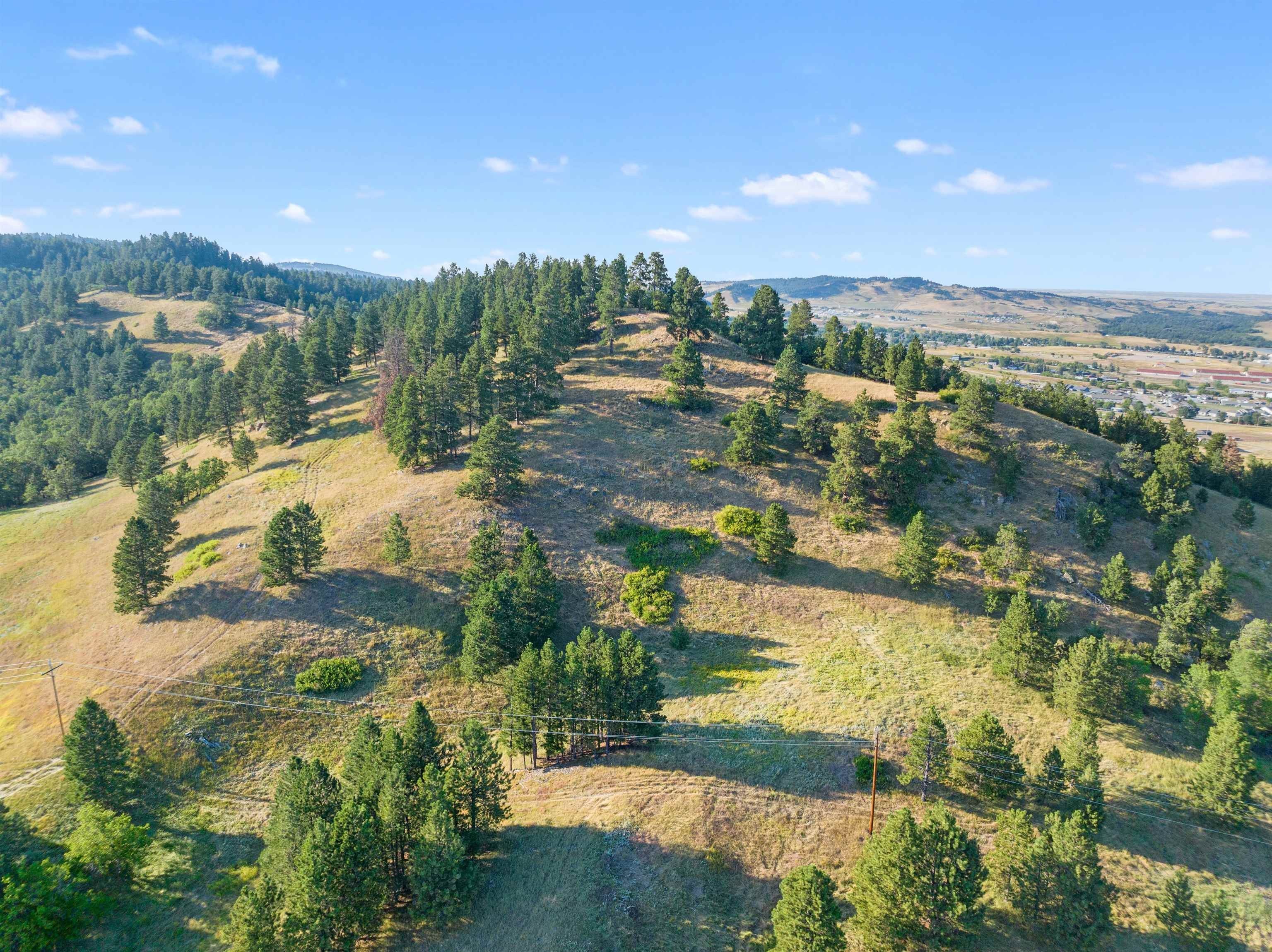 40 acres in Lawrence County, South Dakota