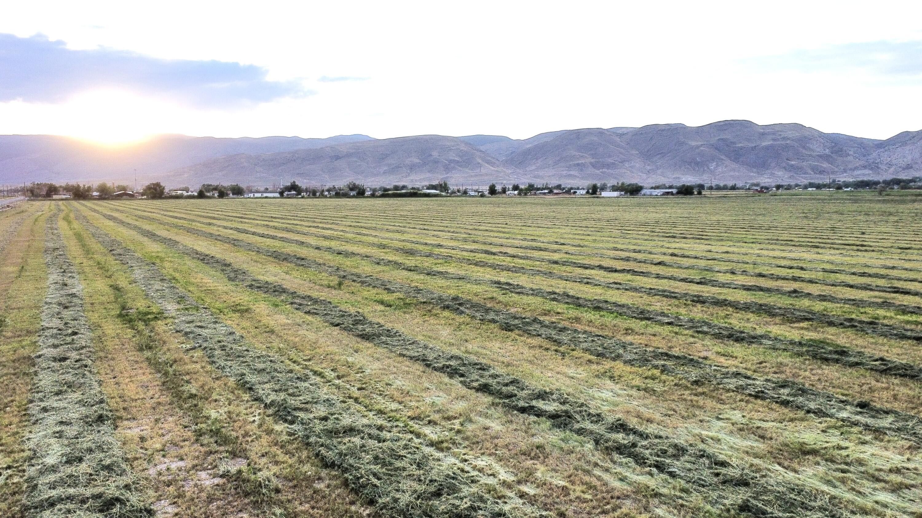 3 acres in Sevier County, Utah