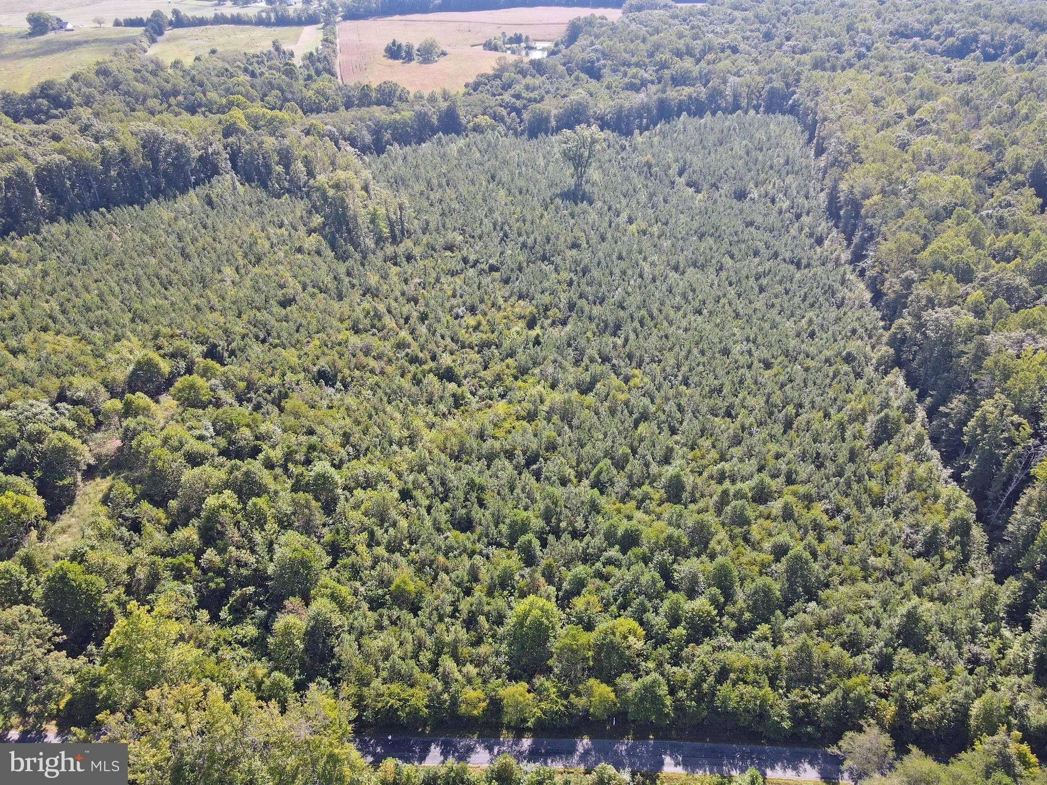 17.45 acres in Caroline County, Virginia