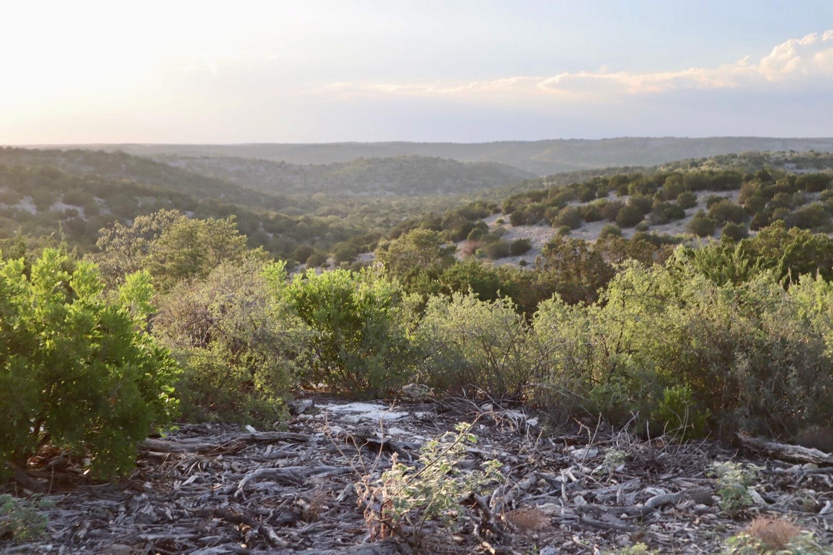 1,253 acres in Val Verde County, Texas