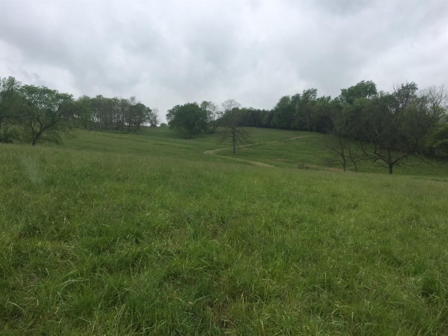 12 acres in Jessamine County, Kentucky