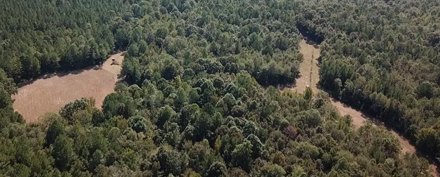 40 acres in Demopolis, AL, 36732