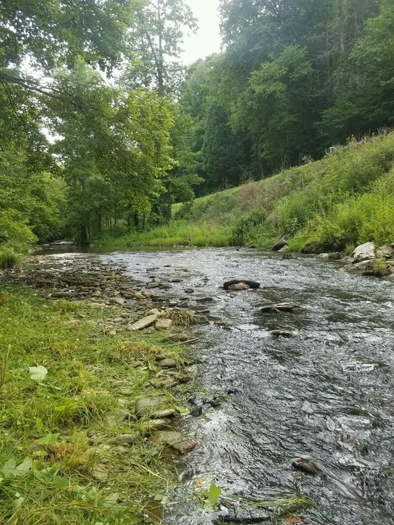 49 acres in Swain County, North Carolina