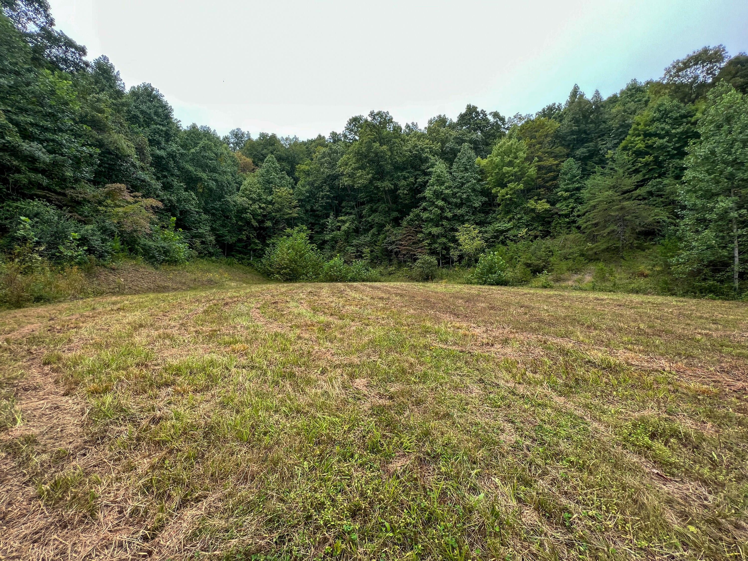 35 acres in County, Kentucky