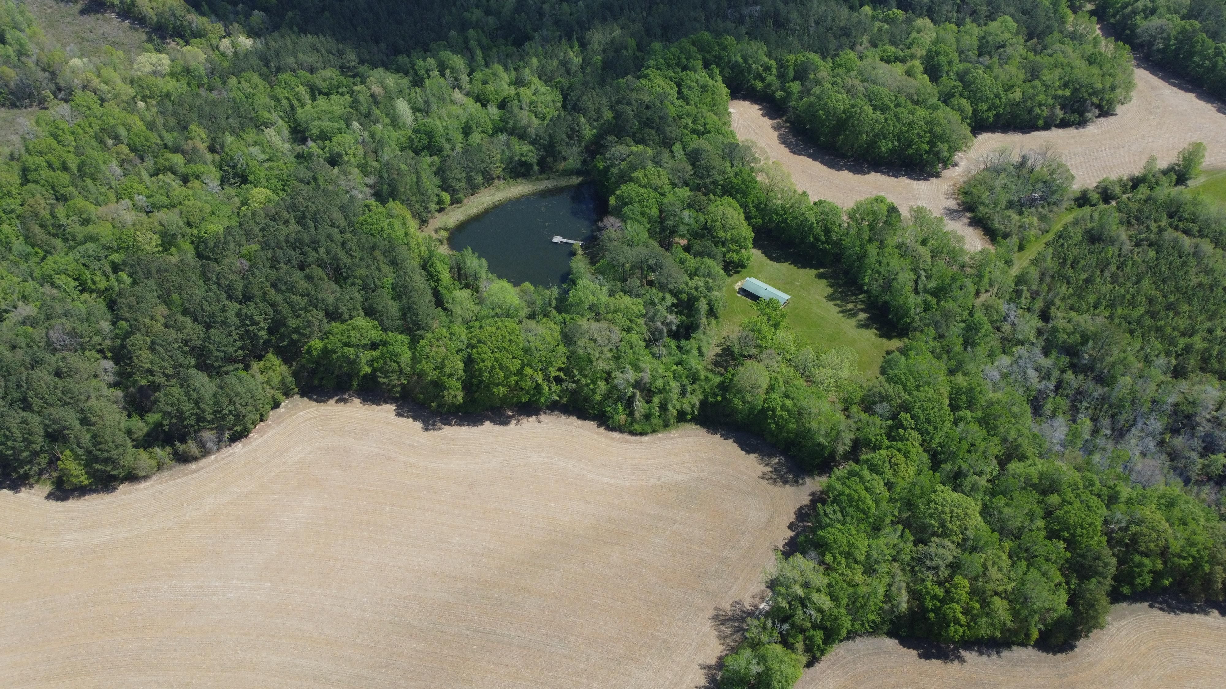 670 acres in Crenshaw County, Alabama