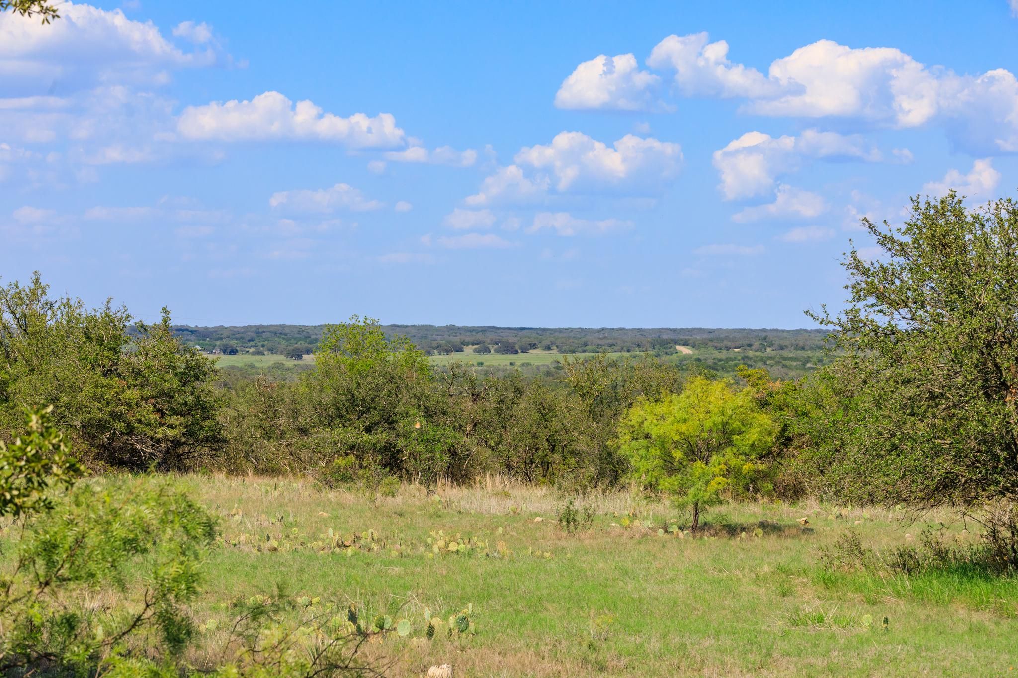 45 acres in Mason County, Texas