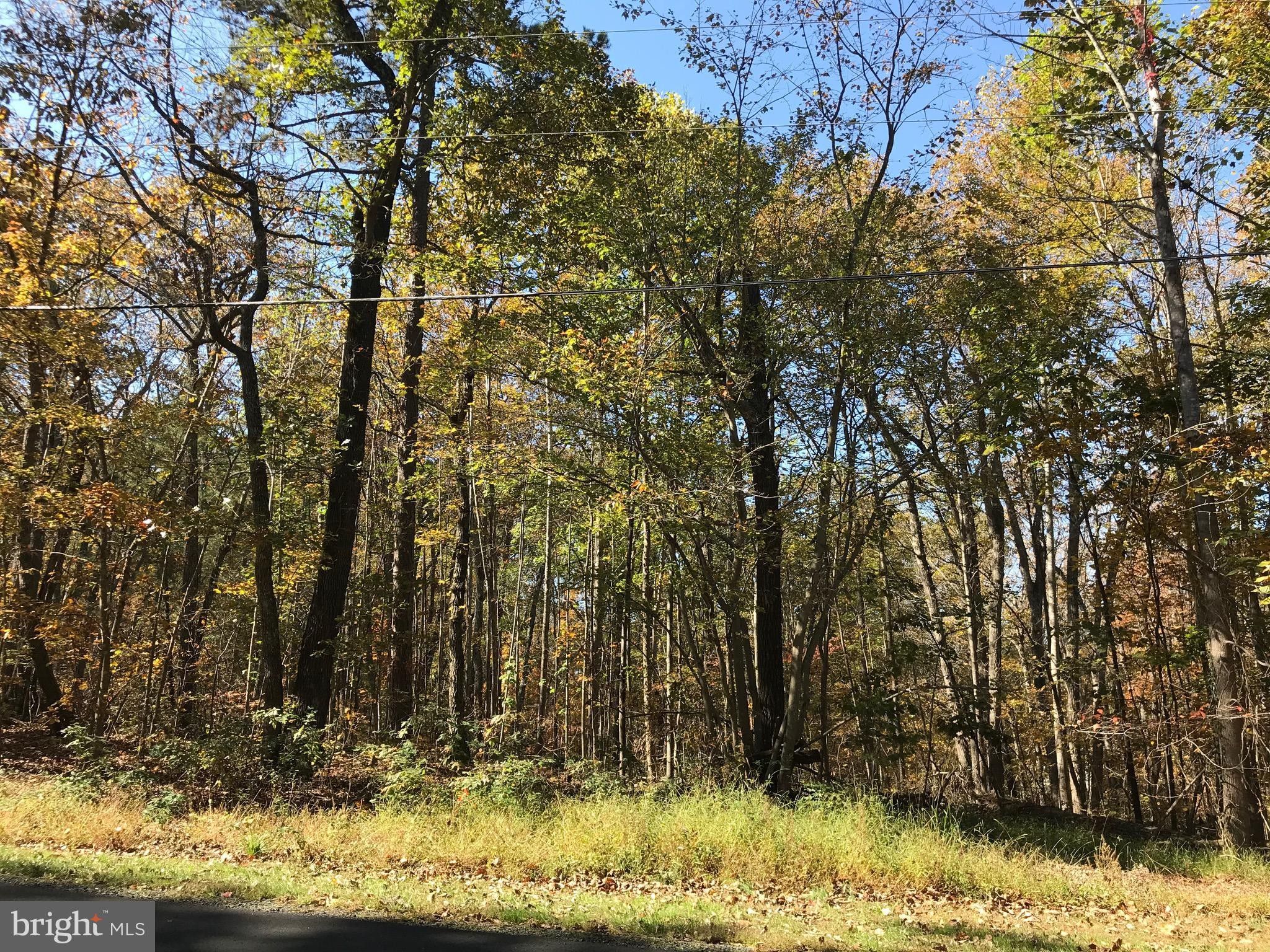 2 acres in Culpeper County, Virginia