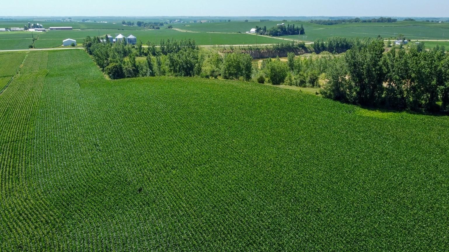 84.55 acres in Jones County, Iowa