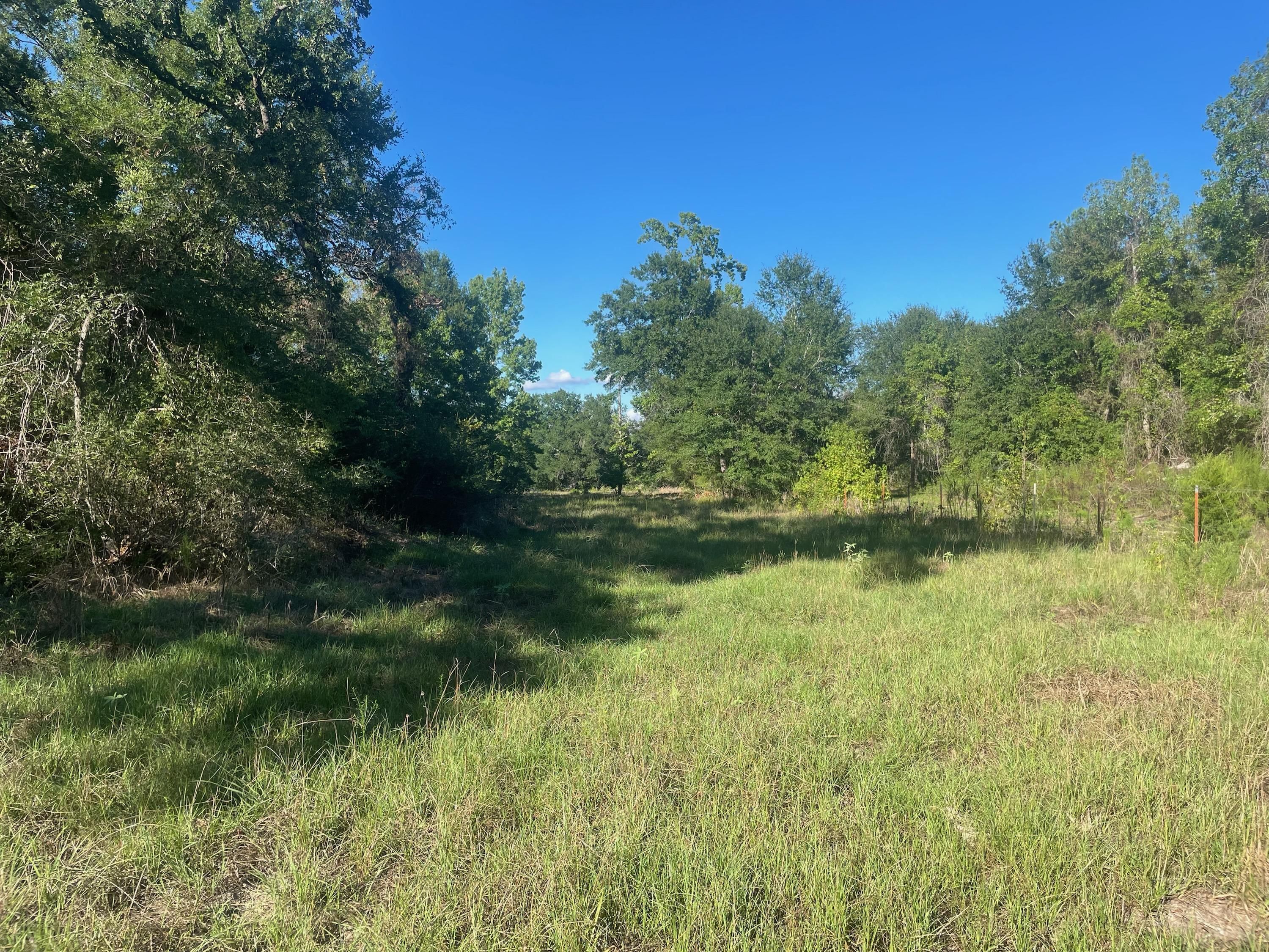 150 Acres: Visualize This Huge Land Area! - iykupgn