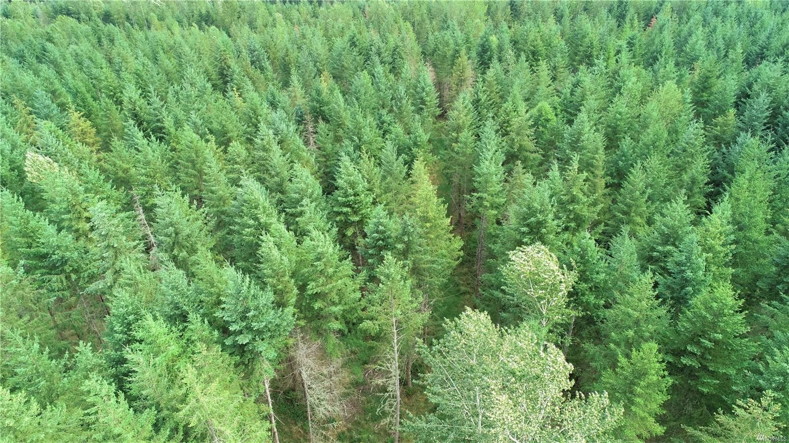 20 acres in Pierce County, Washington