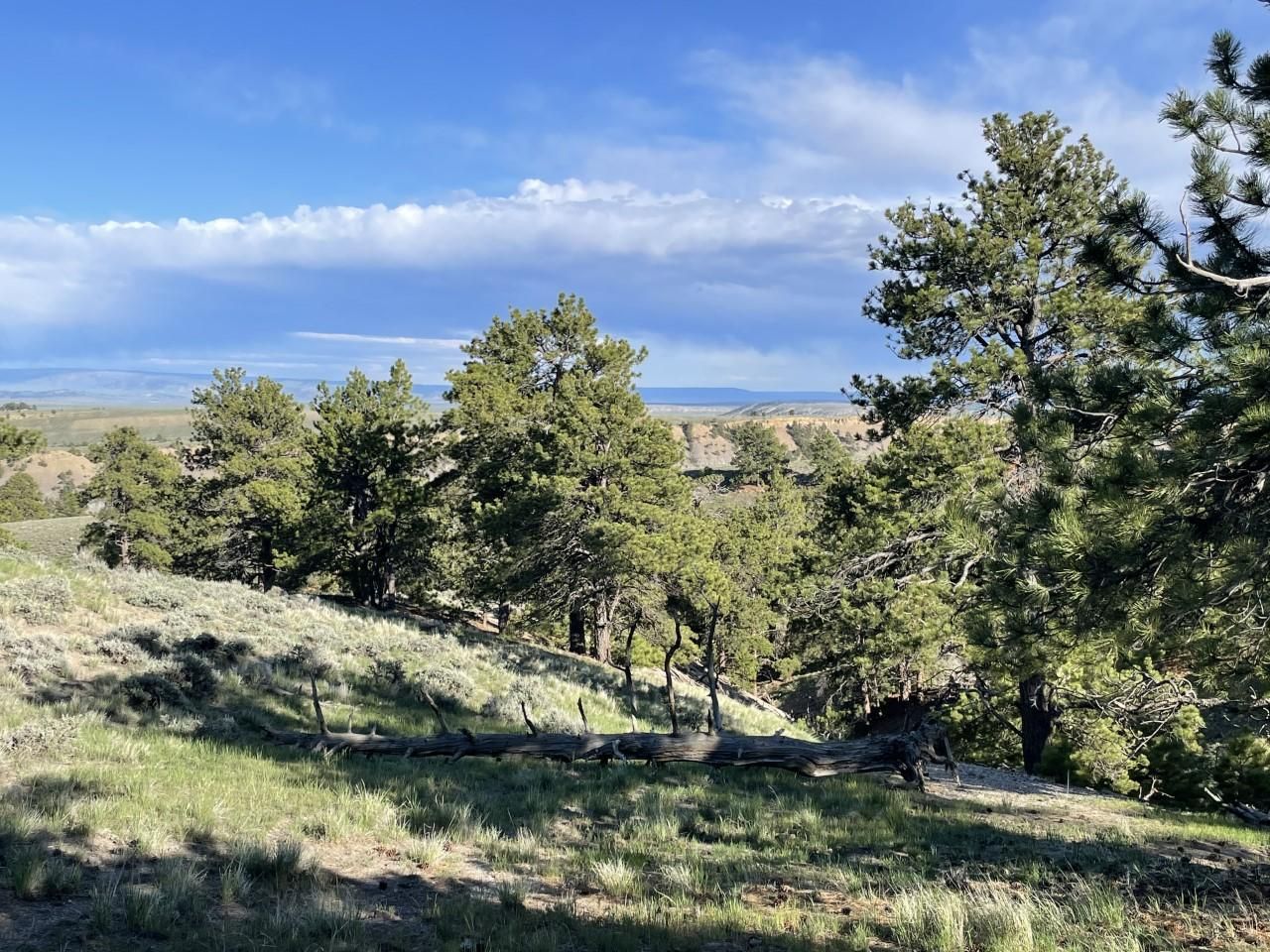 40.2 acres in Natrona County, Wyoming