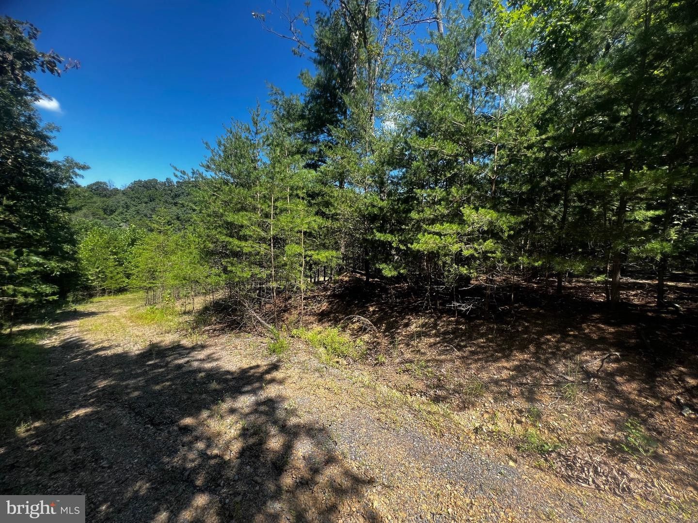 5 acres in Frederick County, Virginia