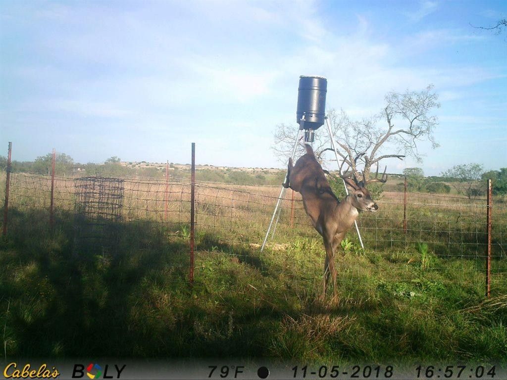 53.51 acres in Hamilton County, Texas