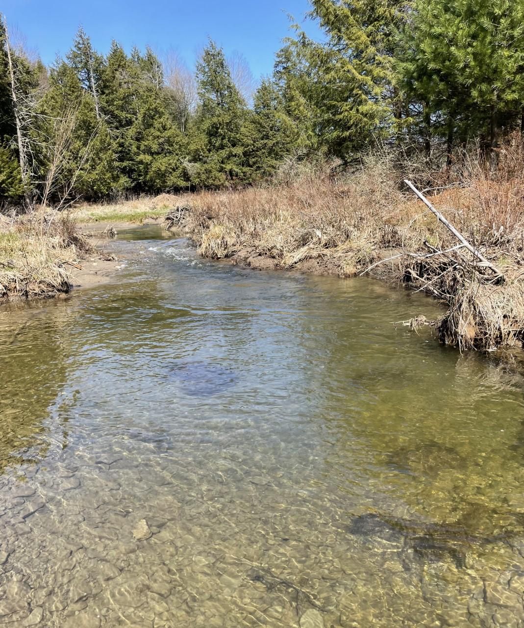 8 acres in Chenango County, New York