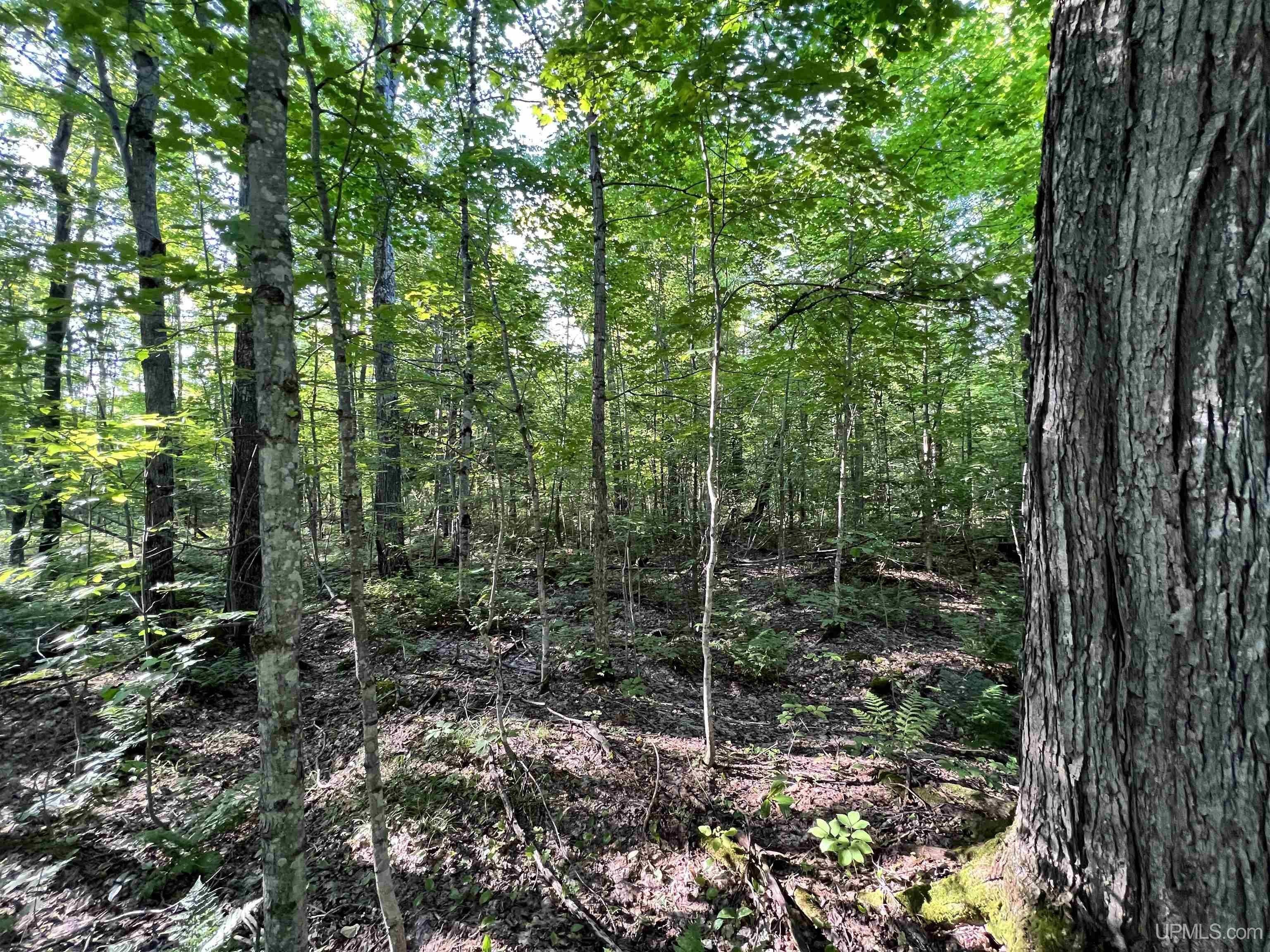 34.16 acres in Houghton County, Michigan