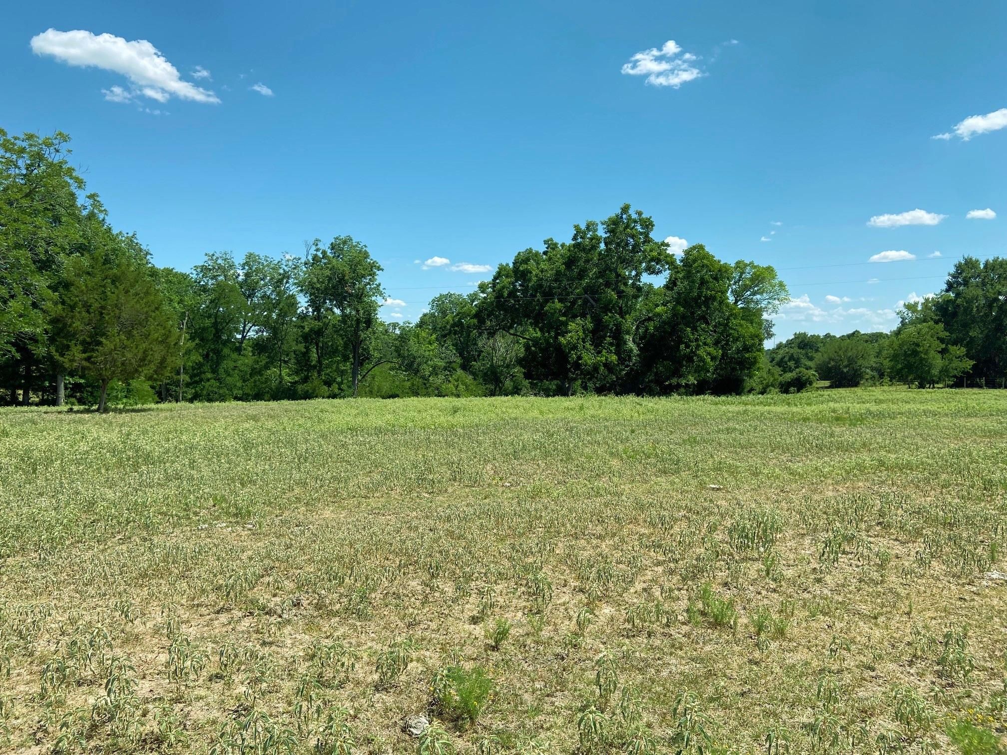 116.11 acres in Washington County, Texas