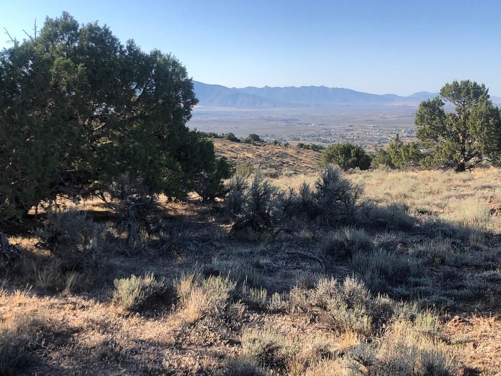 40 acres in Elko County, Nevada