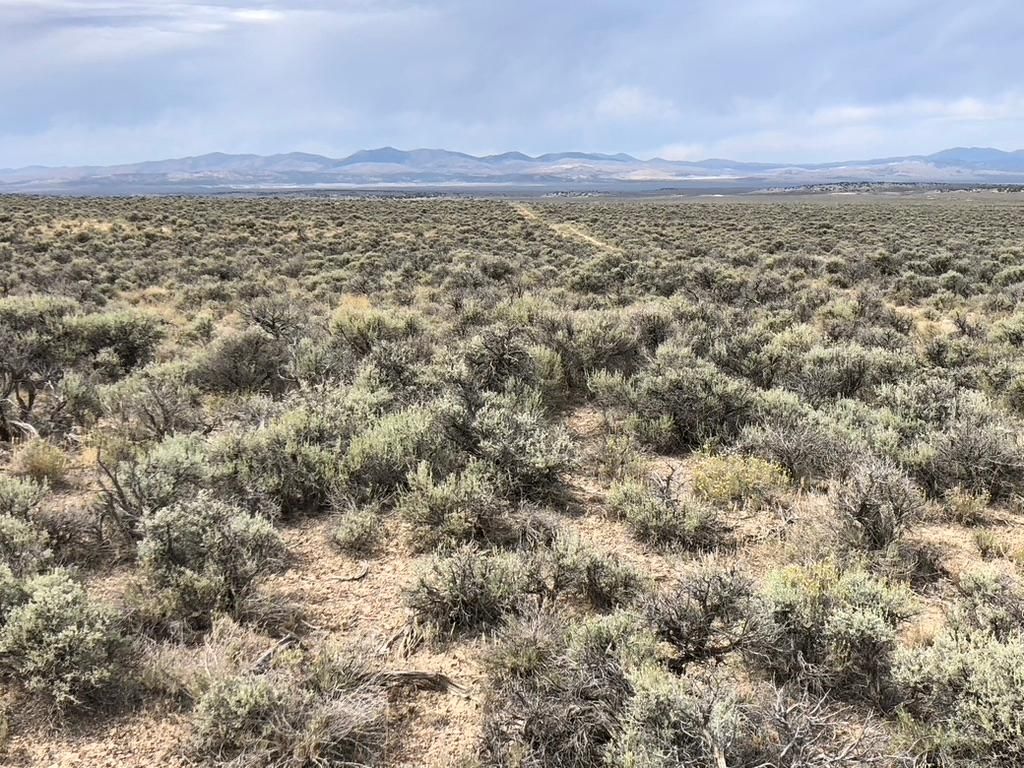 40.1 acres in Elko County, Nevada