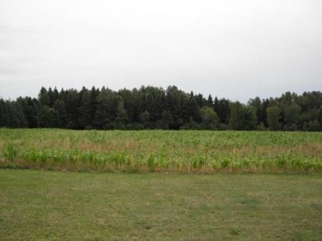 235 acres in Shawano County, Wisconsin