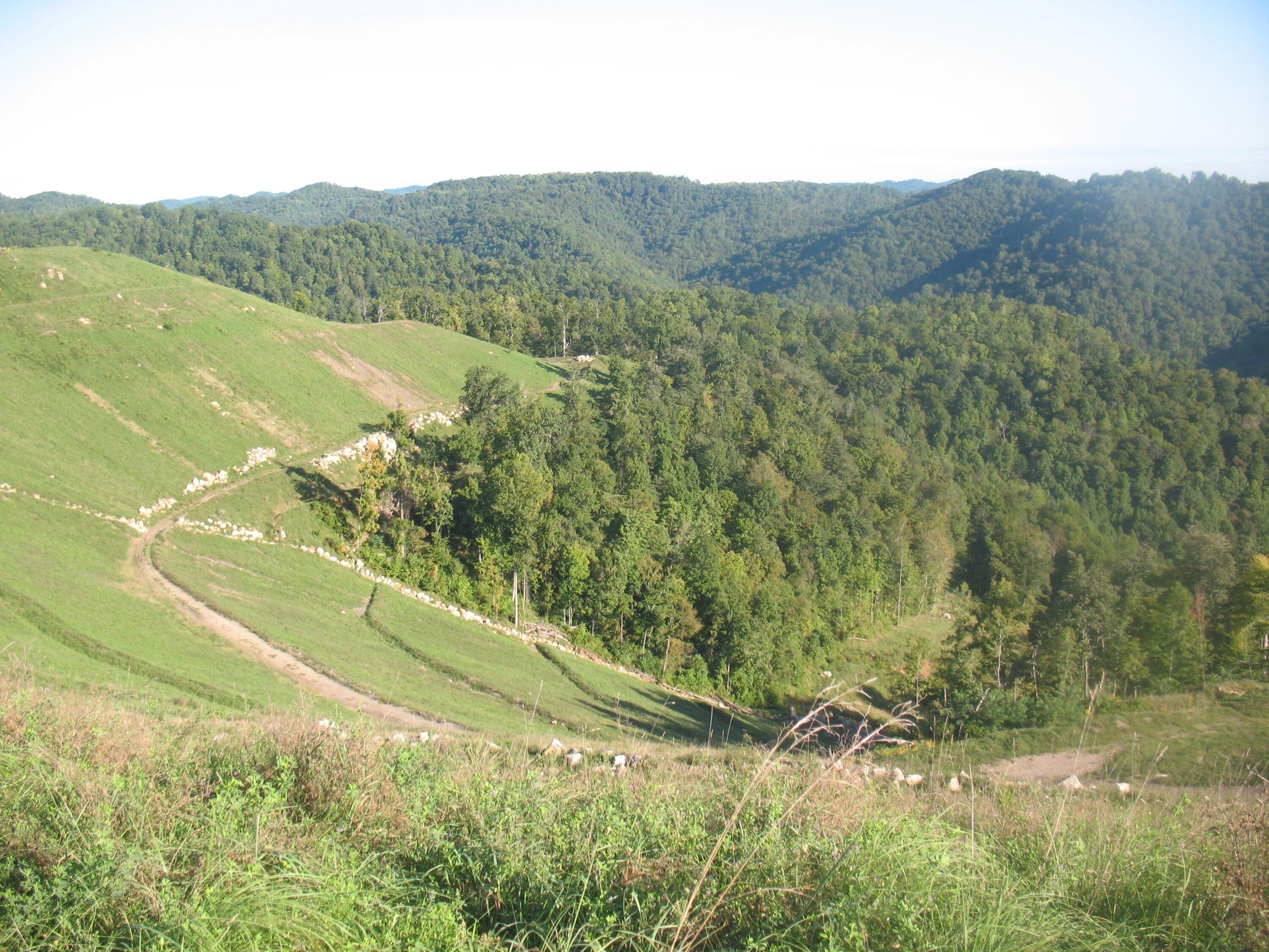 361 acres in Leslie County, Kentucky