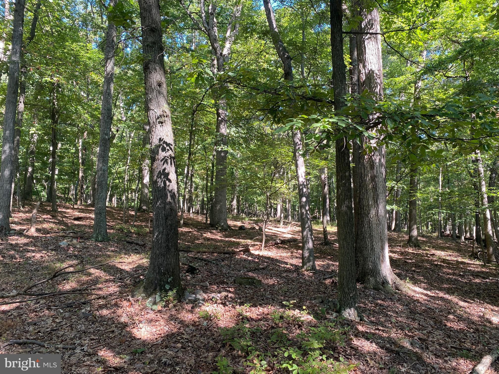 12.4 acres in Hampshire County, West Virginia