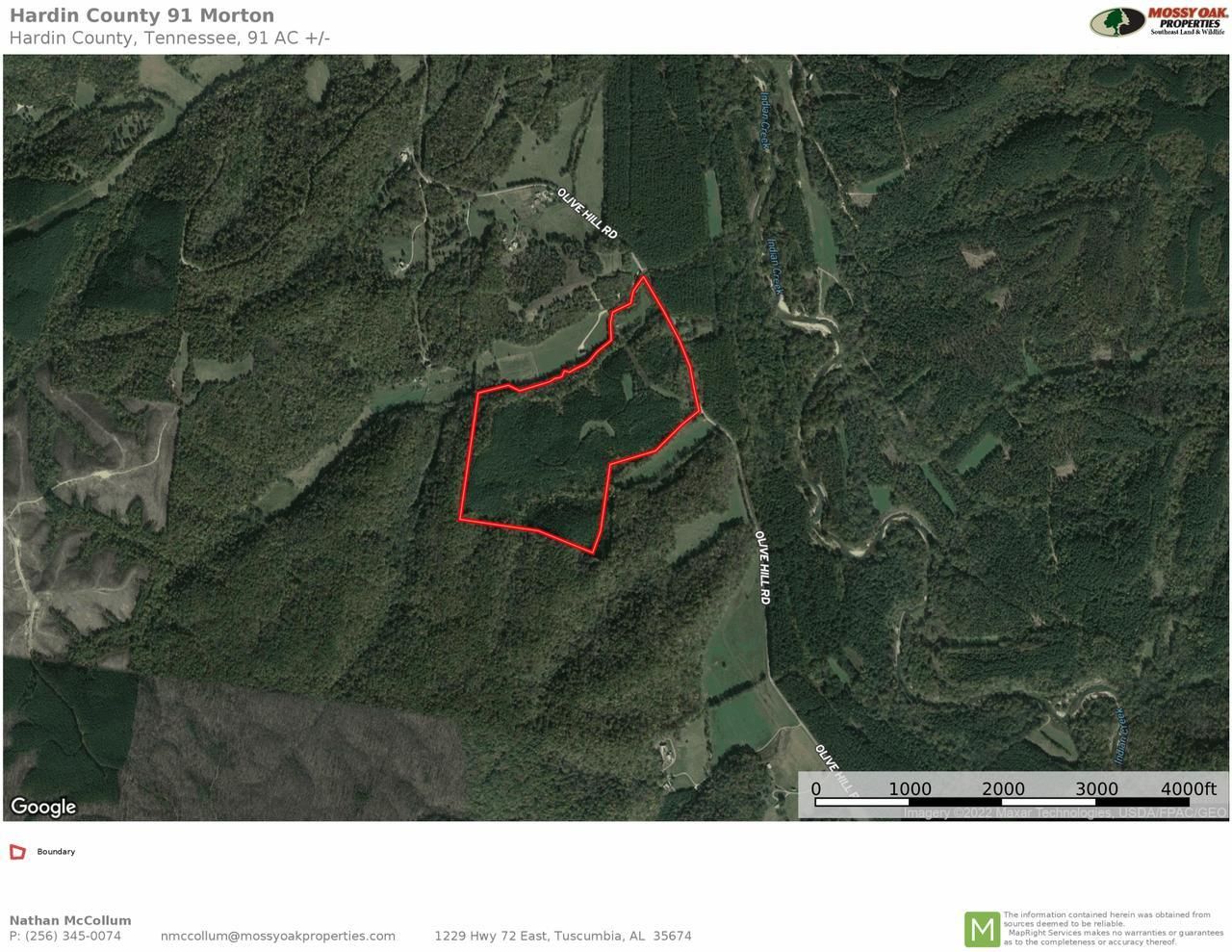 91 acres in Hardin County, Tennessee