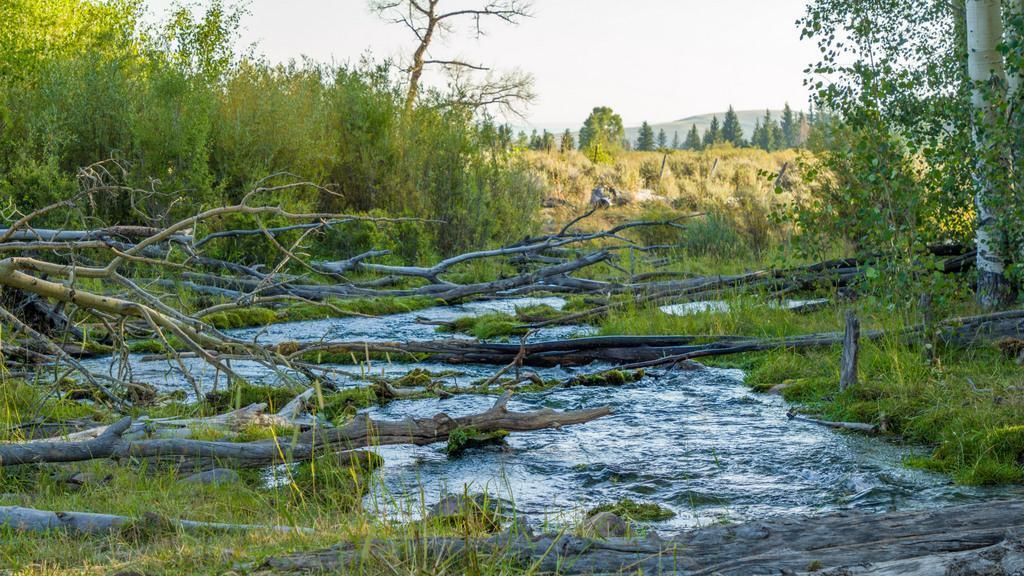 1,075 acres in Daggett County, Utah