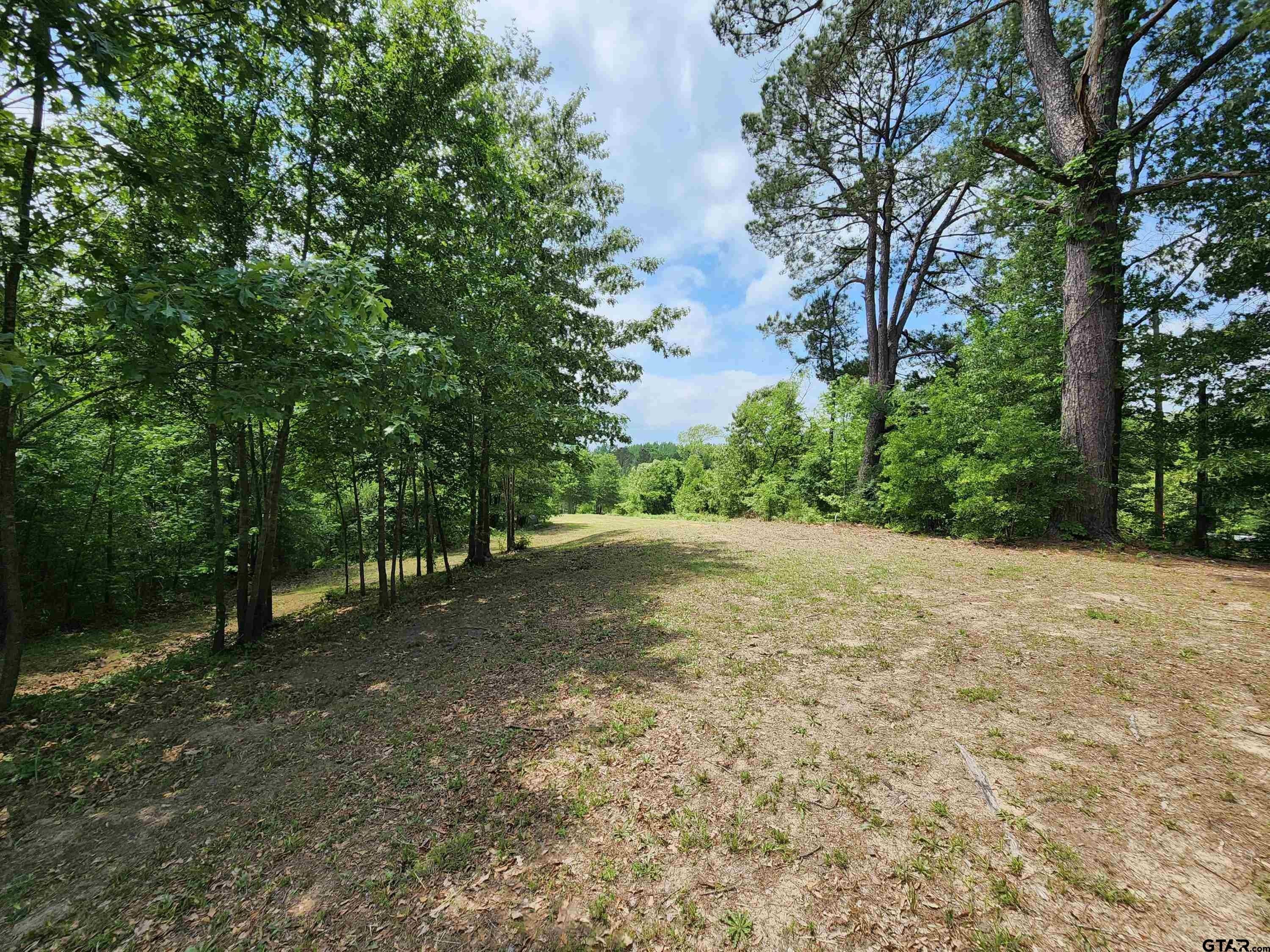 28.6 acres in Morris County, Texas