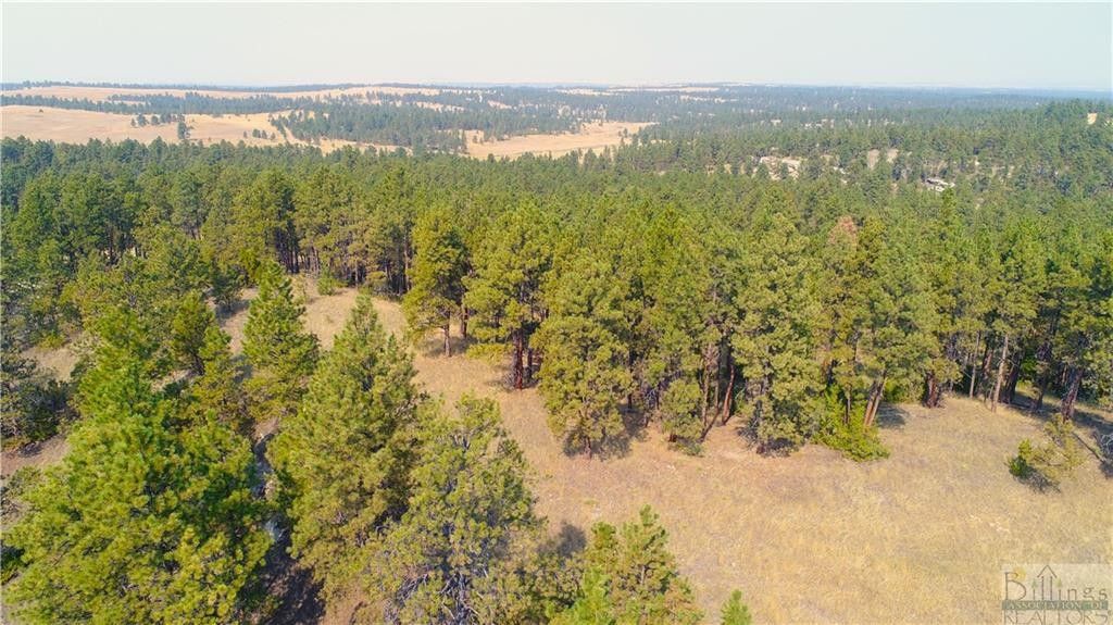 20 acres in Musselshell County, Montana