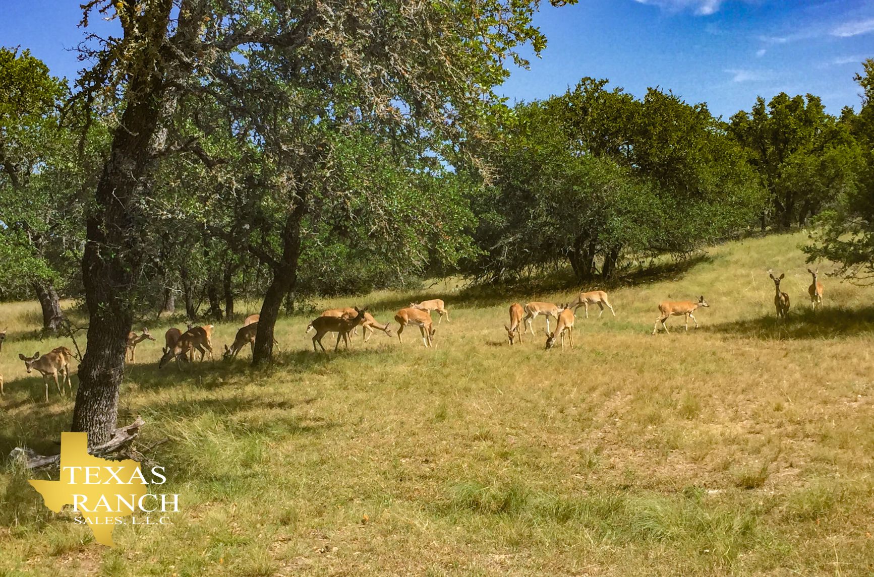 26 acres in Gillespie County, Texas