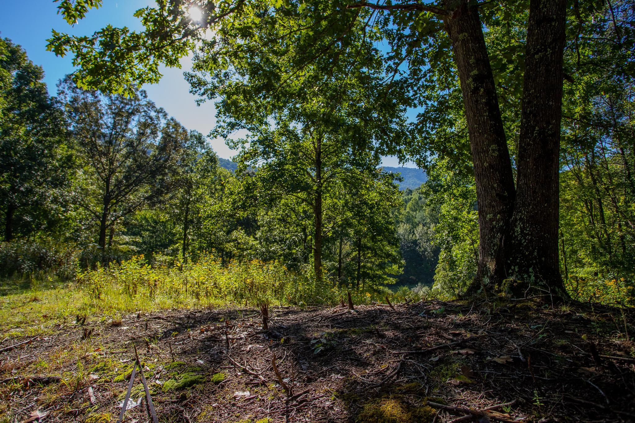 15 acres in Amherst County, Virginia