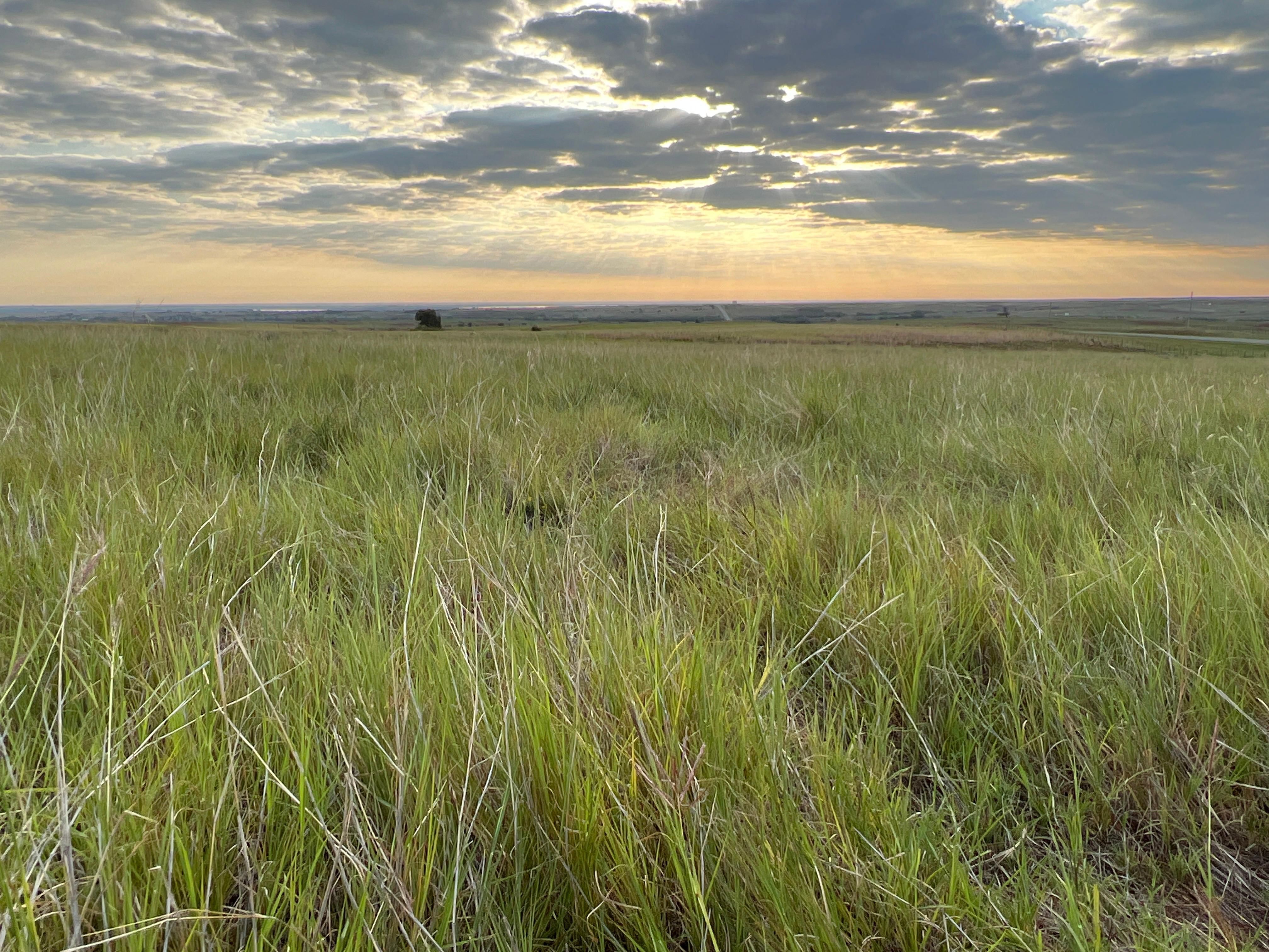 2,400 acres in Custer County, Oklahoma