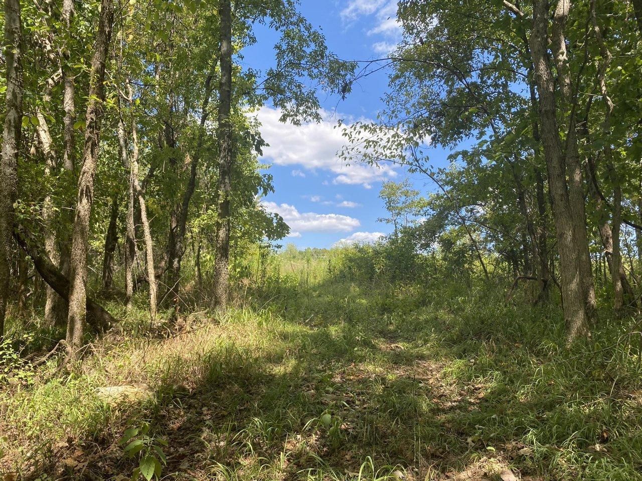 43 acres in Colbert County, Alabama