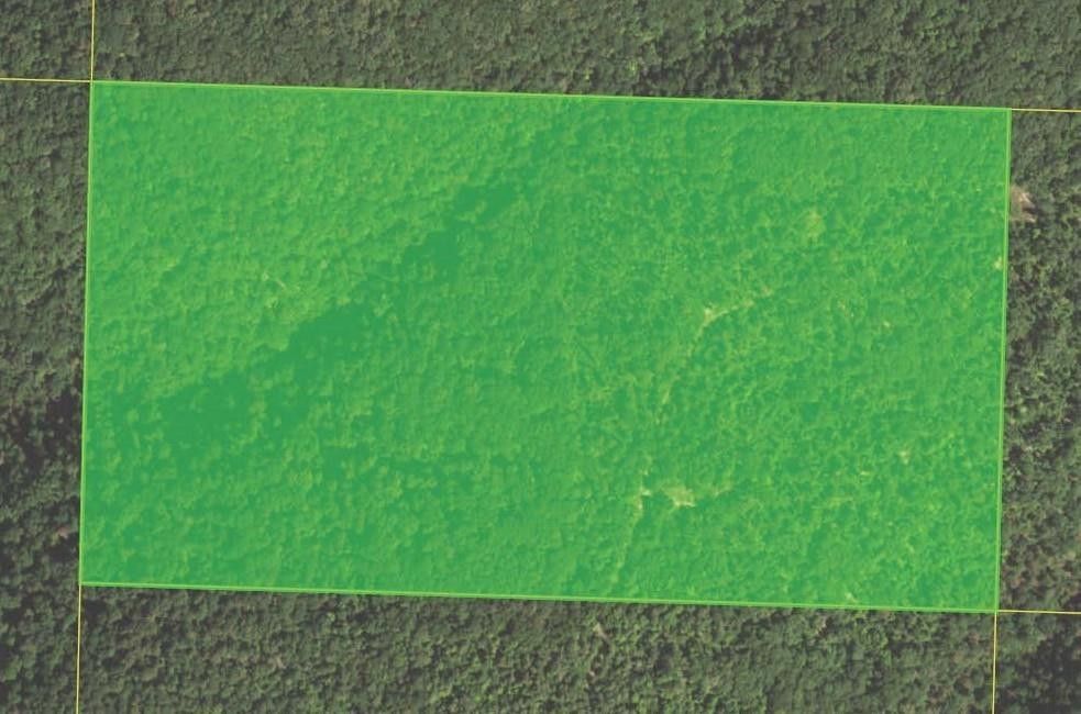 80 acres in Washington County, Arkansas